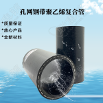 PE孔網鋼帶復合管