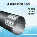 PE孔網鋼帶復合管
